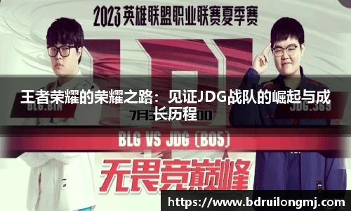 王者荣耀的荣耀之路：见证JDG战队的崛起与成长历程